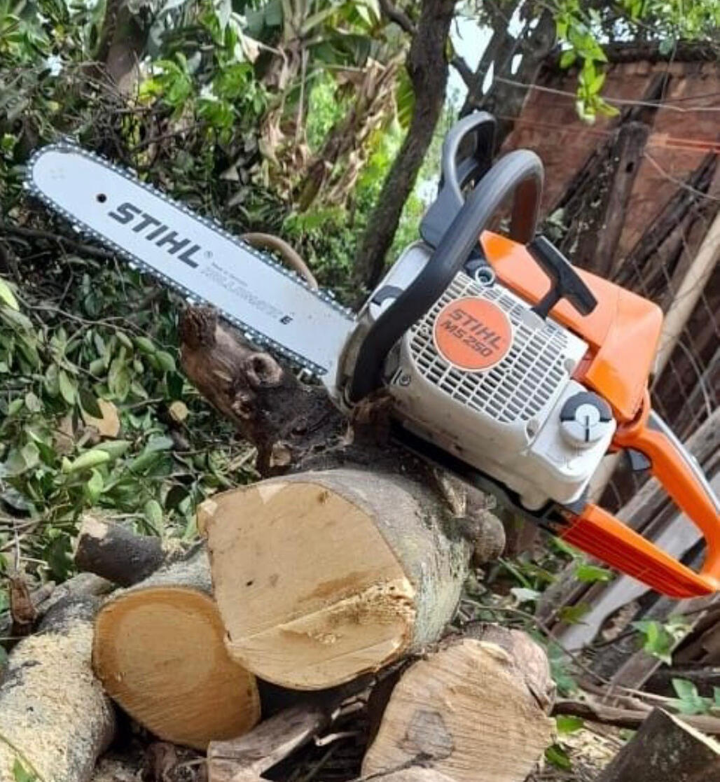 Élagage étêtage abattage taille de haie Auberville Villers sur mer Houlgate Dives sur mer cabourg Deauville pont l’évêque Blonville sur mer Dozulé